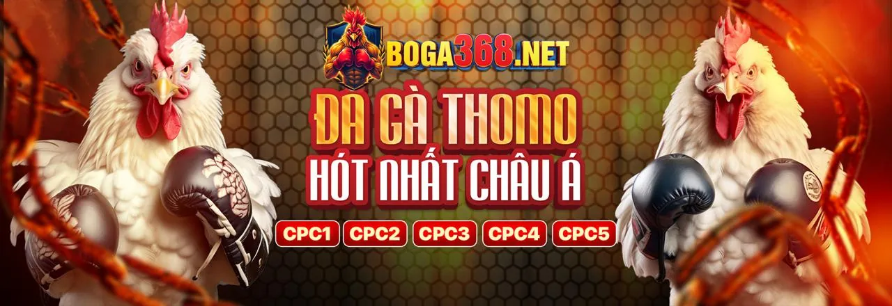 Sân vận động bóng đá sôi động, thể hiện cá cược thể thao TG88