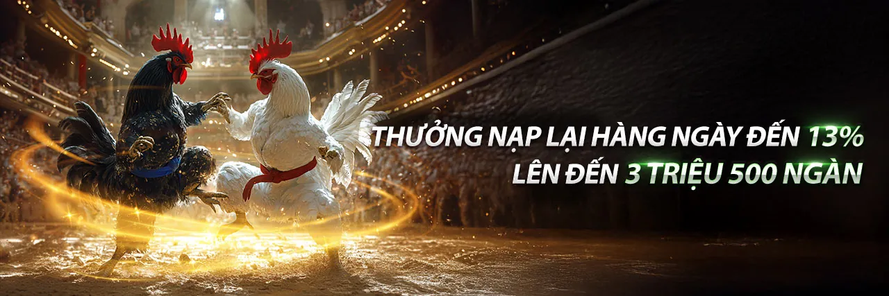 Đấu gà trực tuyến TG88